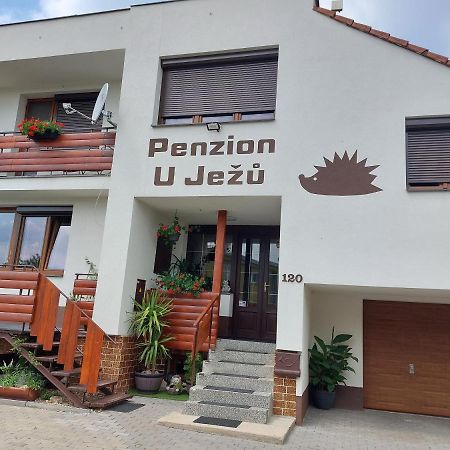 Penzion U Jezu - Ubytovani Pasohlávky Eksteriør billede